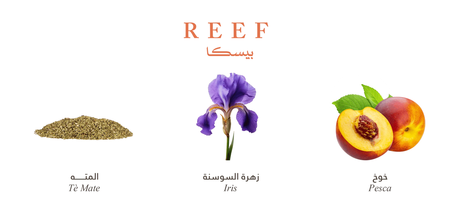 Reef Pesca Eau De Parfum - 15ML